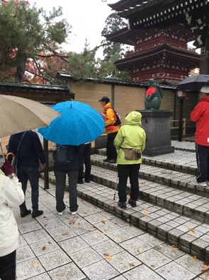 気軽に散策ウォーキング