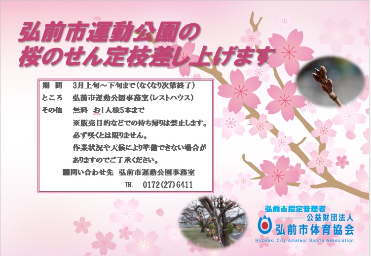 桜のせん定枝無料配布