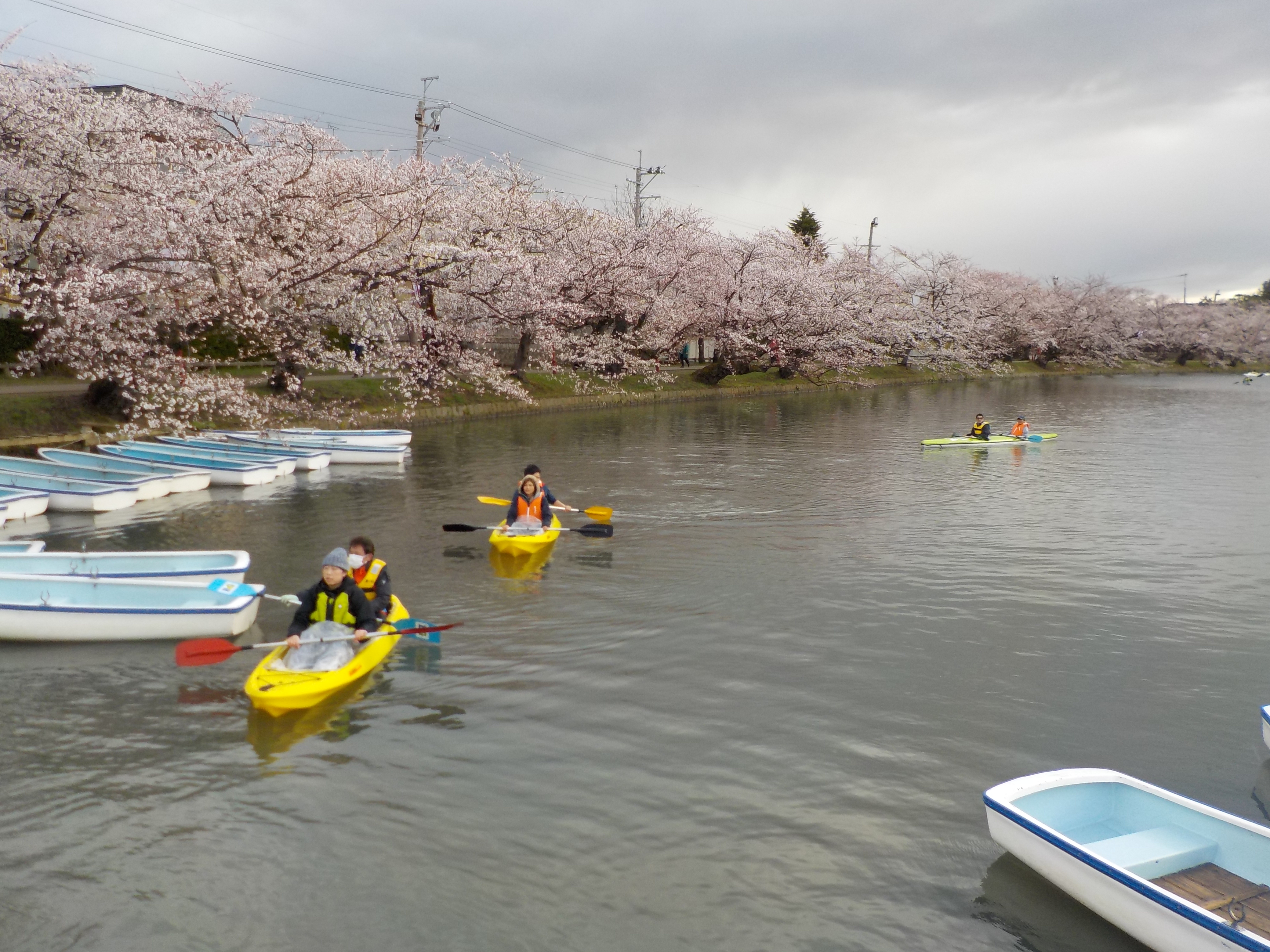 さくら祭り　早朝カヌー教室