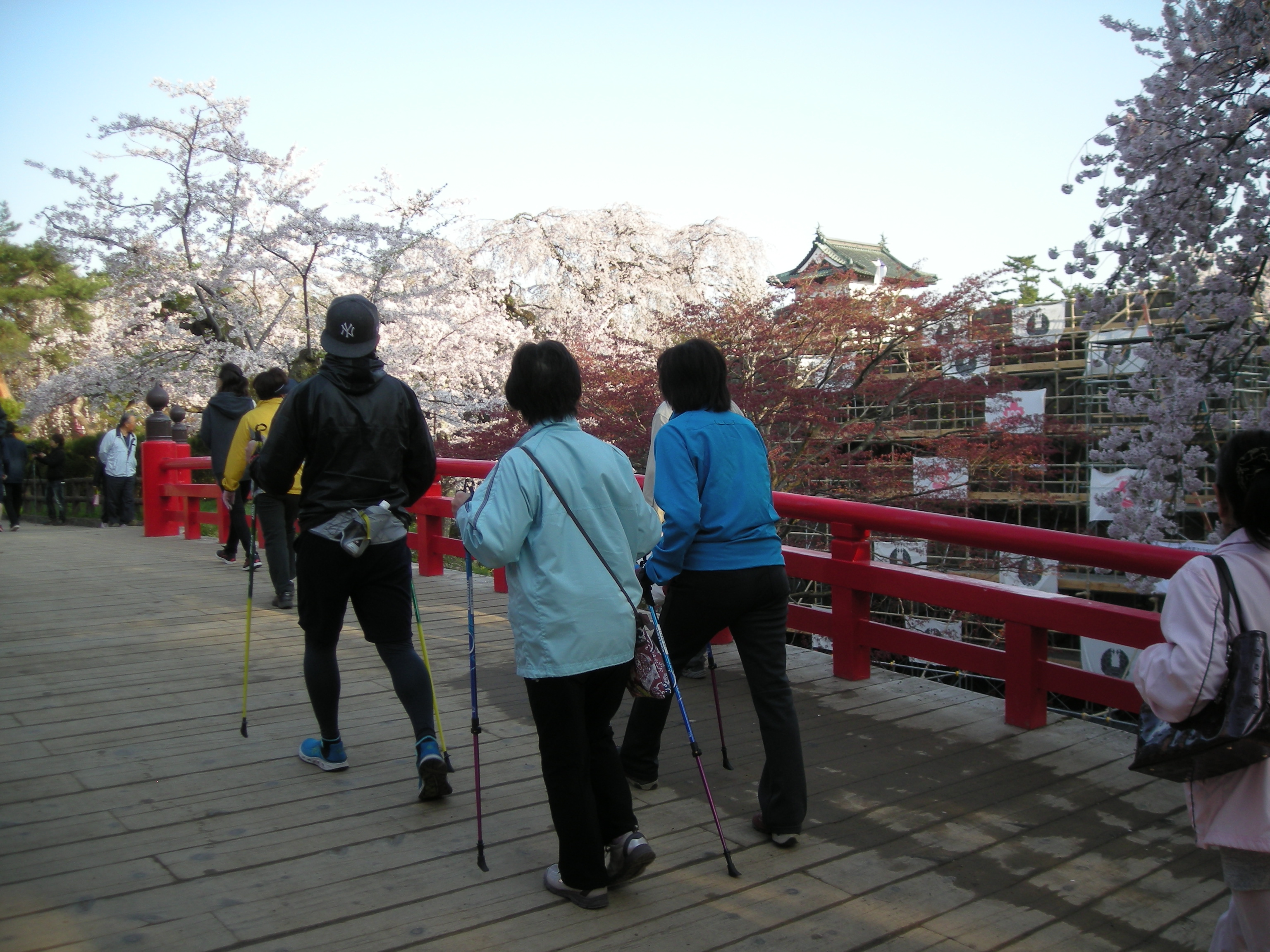 弘前桜まつり早朝ノルディックウォーキング