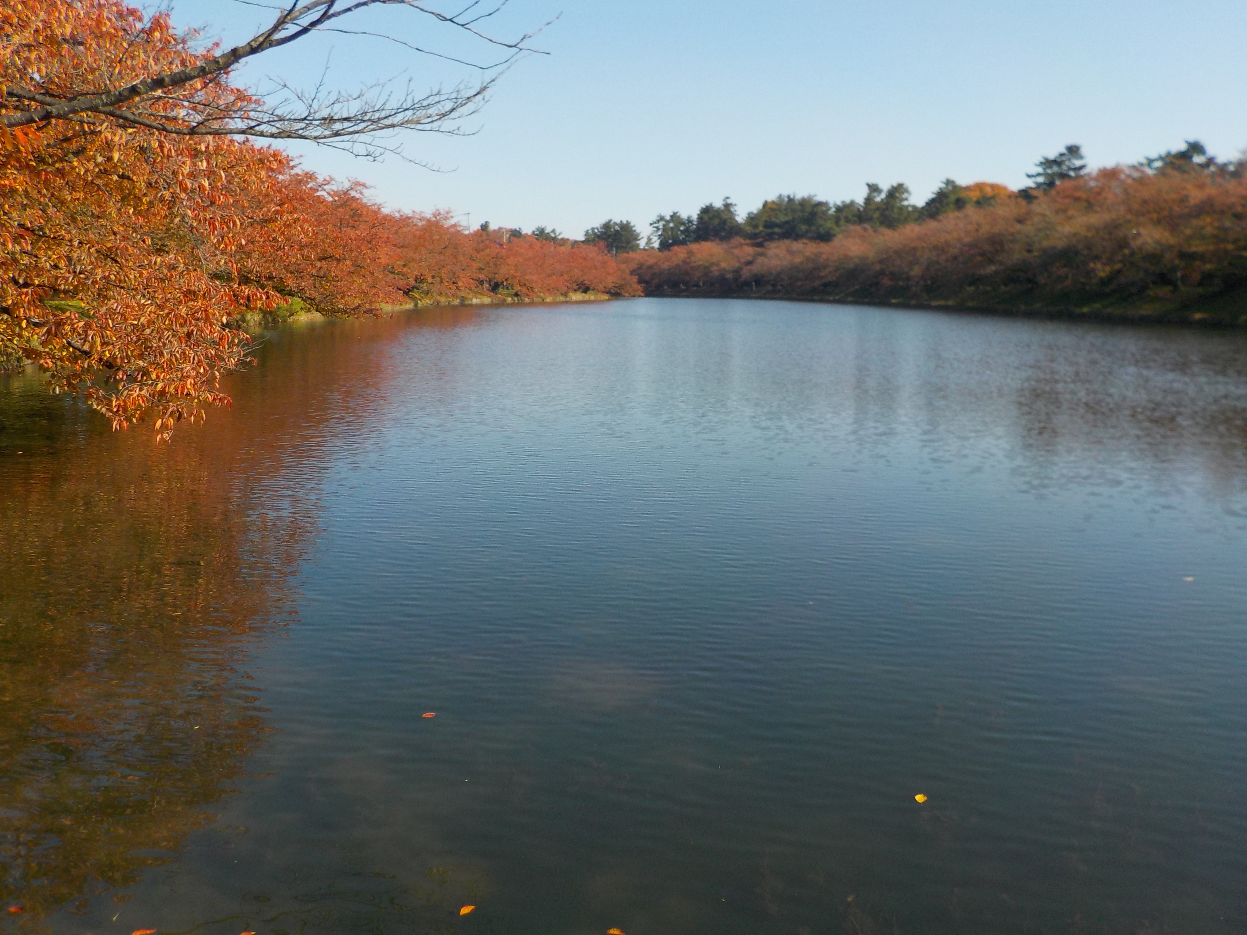 秋のカヌー体験in弘前公園