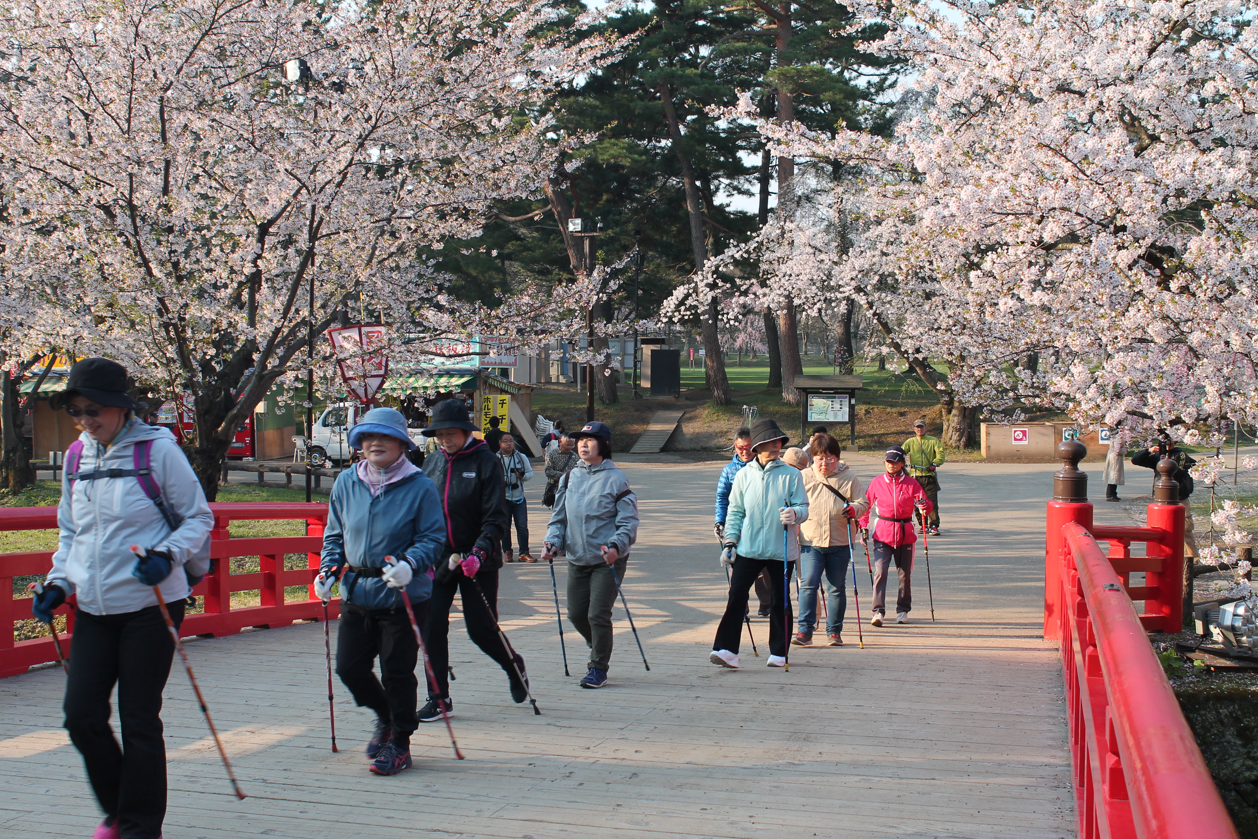 弘前桜まつり早朝ノルディックウォーキング