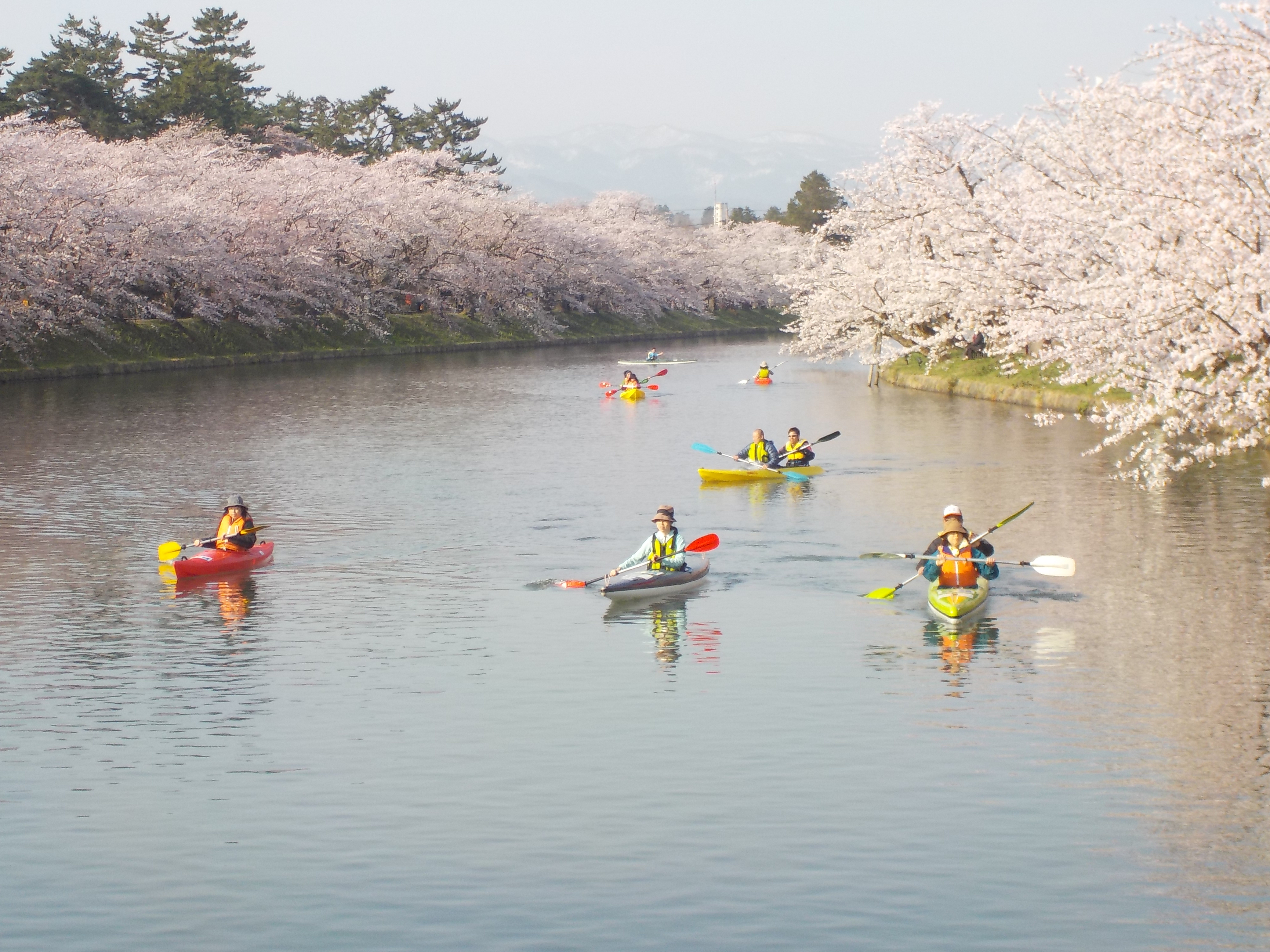 弘前さくらまつり2018　お花見カヌー体験