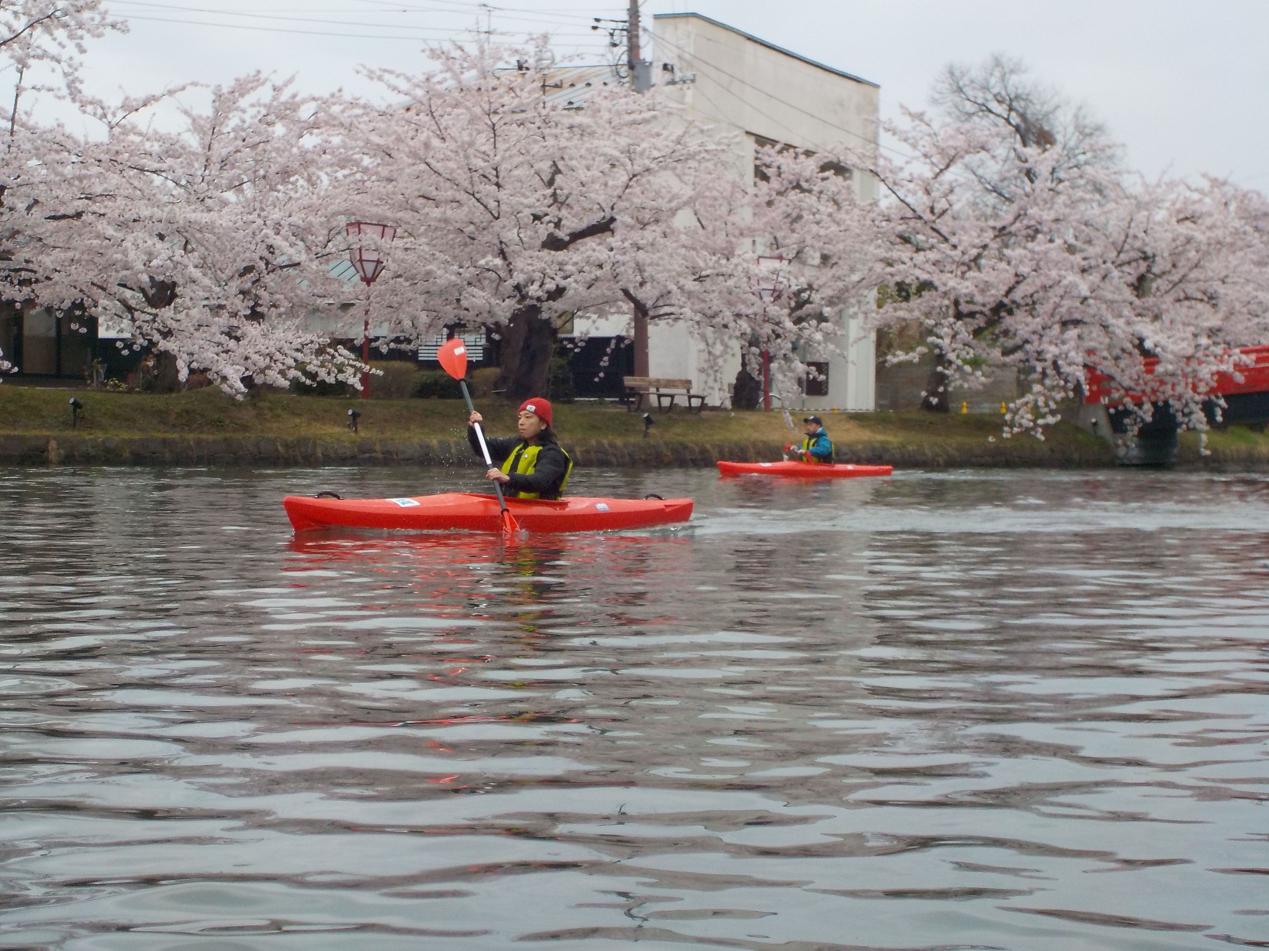 弘前さくらまつり2018　お花見カヌー体験