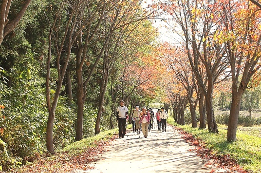 岩木山百沢・嶽ノルディックウォーキング2Days'