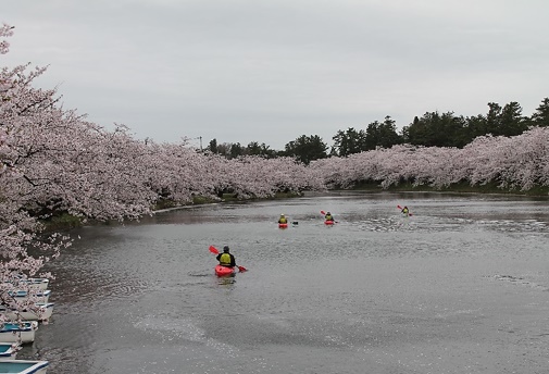 2019・弘前さくらまつりお花見カヌー体験