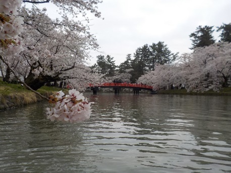 2023・弘前桜まつりお花見カヌー体験