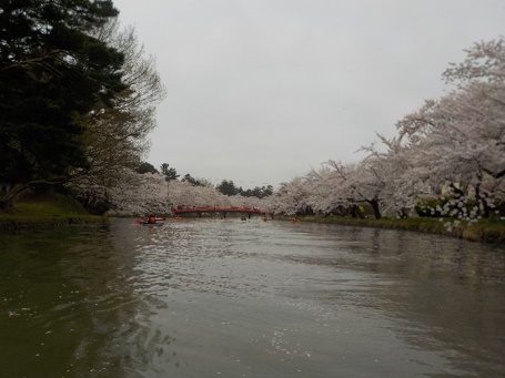 2023・弘前桜まつりお花見カヌー体験