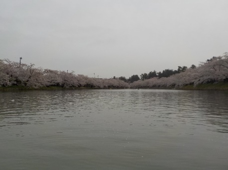 2023・弘前桜まつりお花見カヌー体験