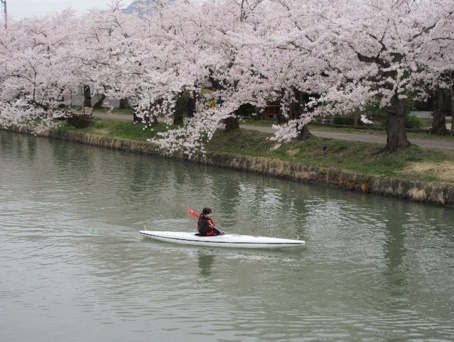 2023・弘前桜まつりお花見カヌー体験