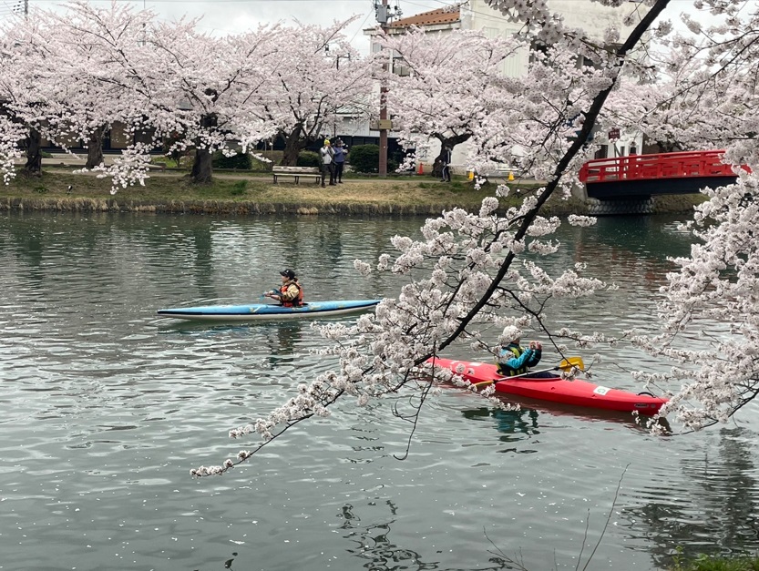 2024　ひろさき桜まつりお花見カヌー体験