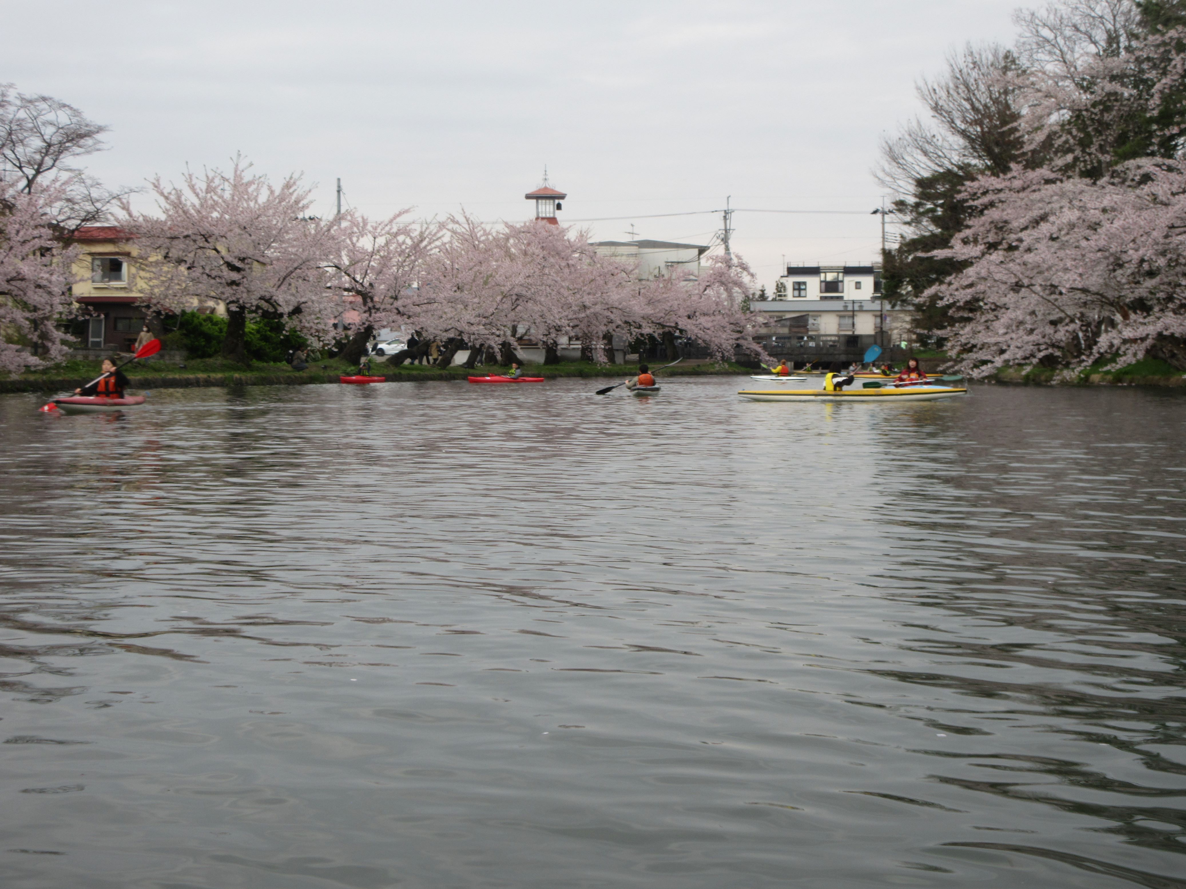 202５ひろさき桜まつりお花見カヌー体験