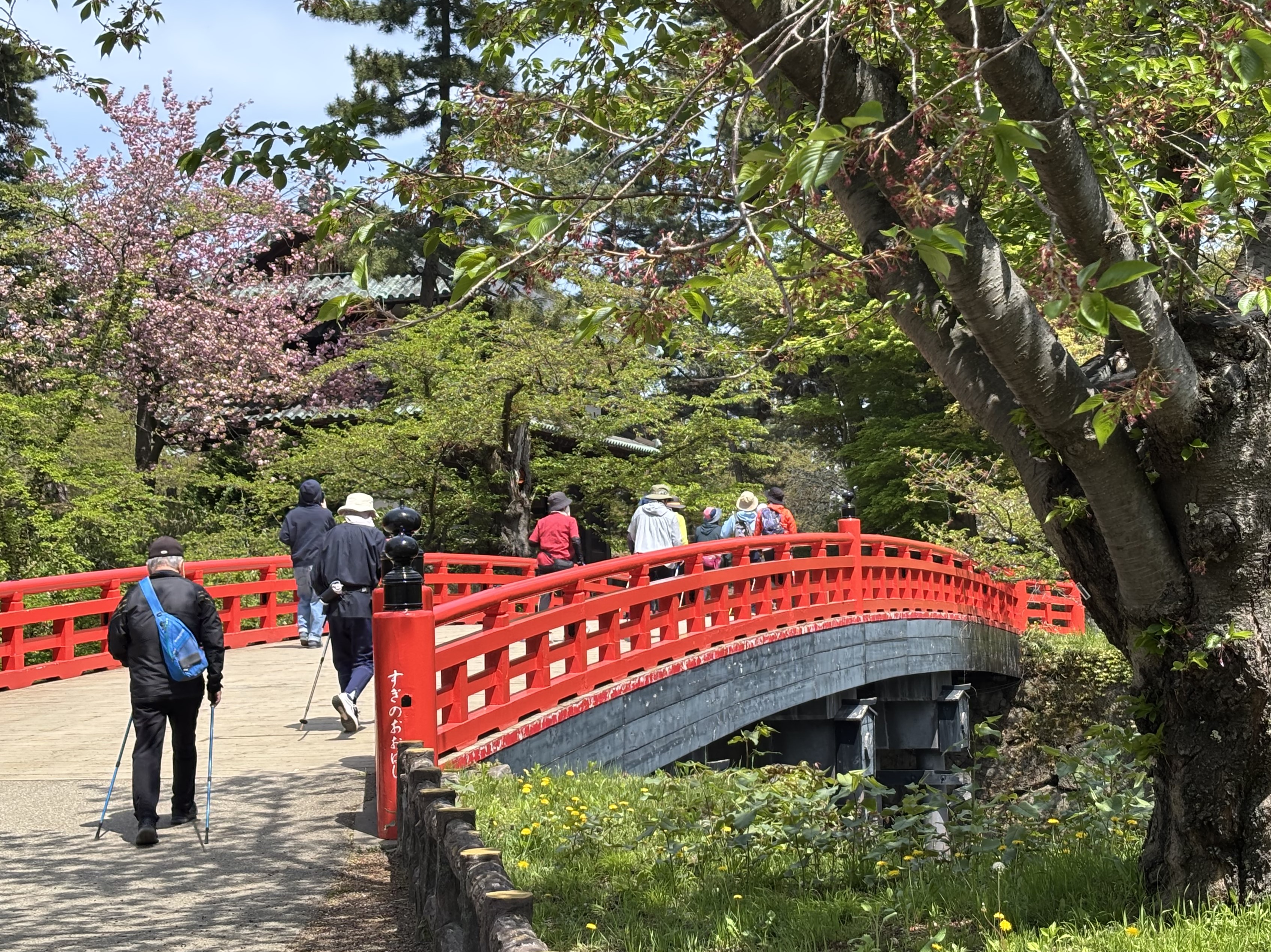 一緒に歩こう！ノルディックウォーキング