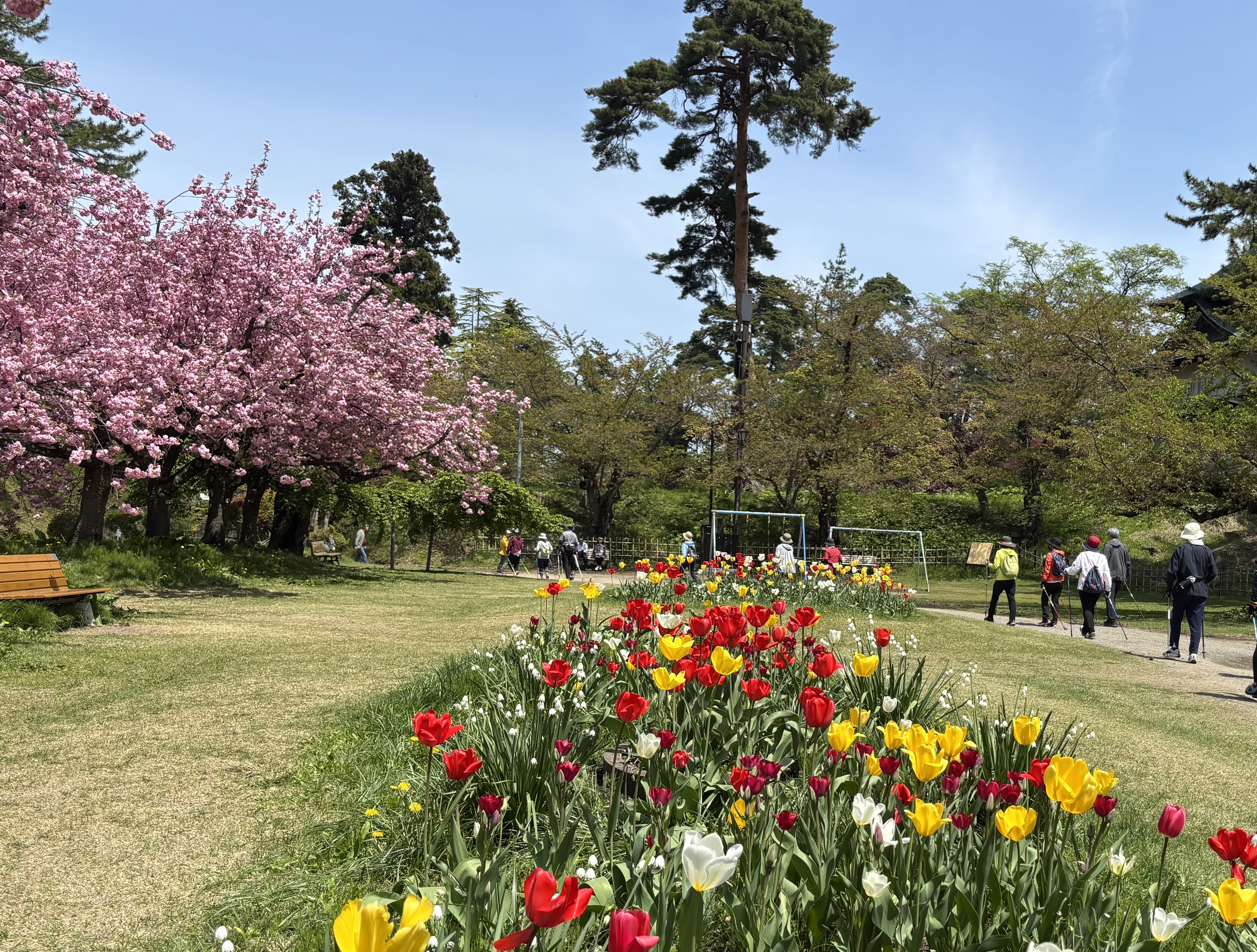一緒に歩こう！ノルディックウォーキング