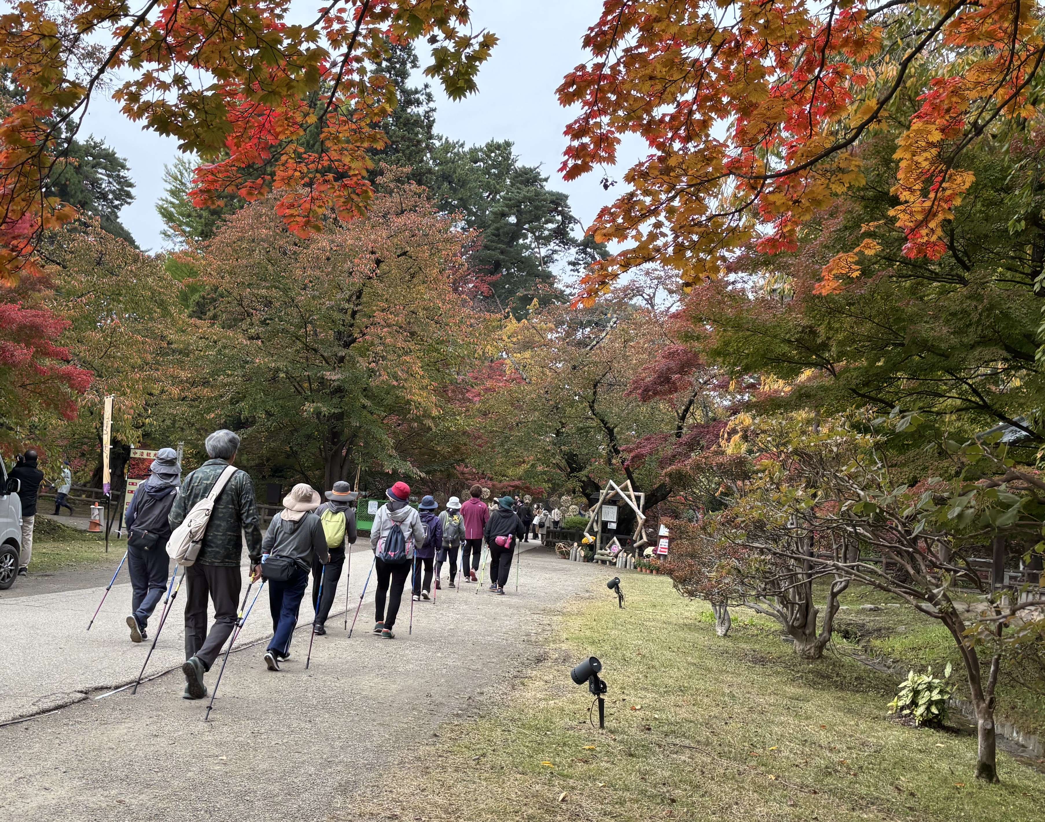 一緒に歩こう！ノルディックウォーキング