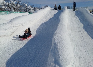 冬の球場アート2026