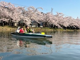 ひろさき桜まつりお花見カヌー体験③