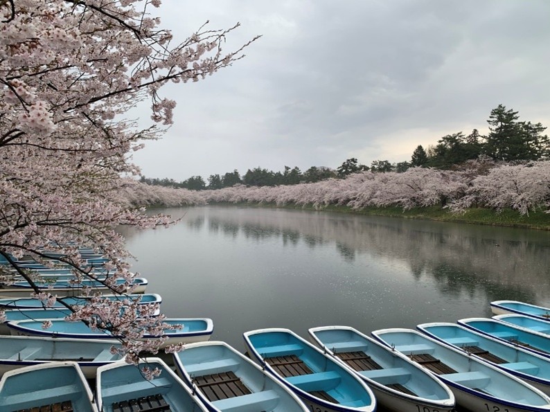 ひろさき桜まつりお花見カヌー体験④