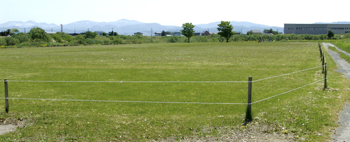 境関河川敷簡易運動広場